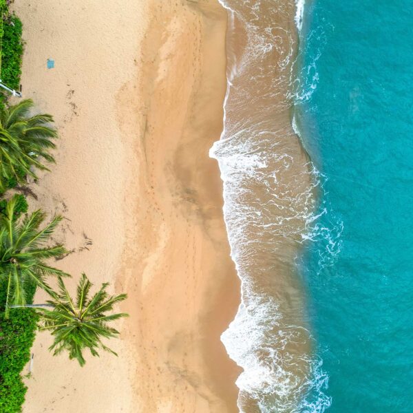 Trinity-Beach-Pacific-apartments-rent-australia9