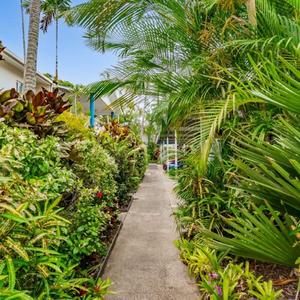 hotel-trinity-beach-pacific-australia-apartaments-rent-adventure-travel 43